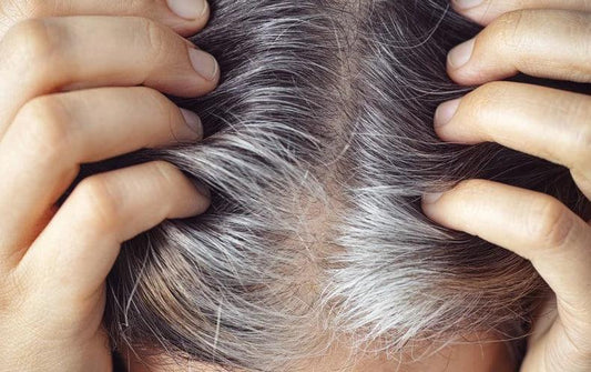 How to get rid of premature white hair? - Blushu Cosmetics